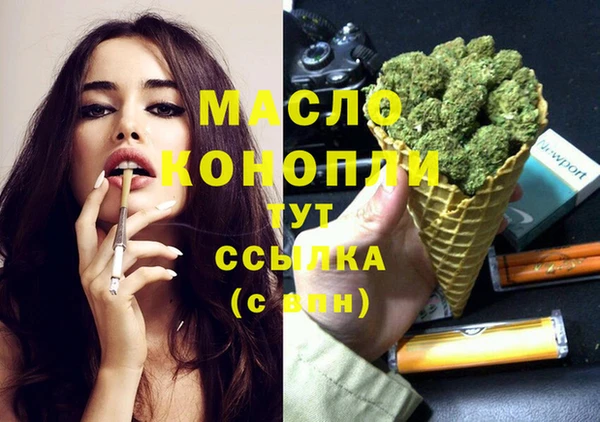 дживик Каменка