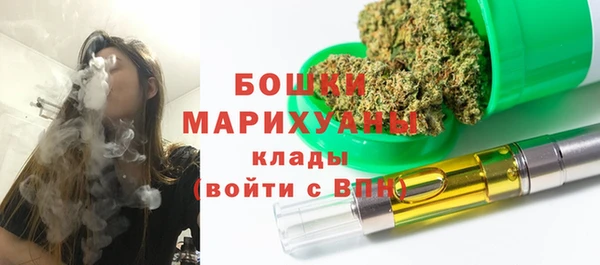 apvp Карпинск