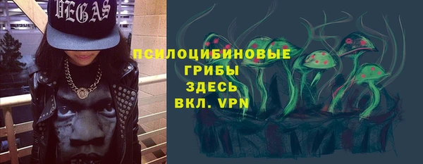 apvp Карпинск