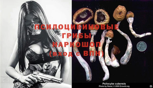 дживик Каменка